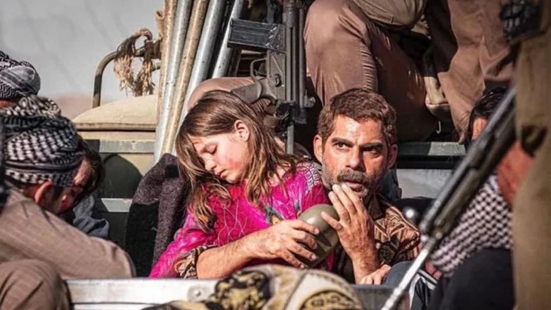 پیمان معادی در فیلم درخت گردو - فیلمی بر اساس فاجعه سردشت