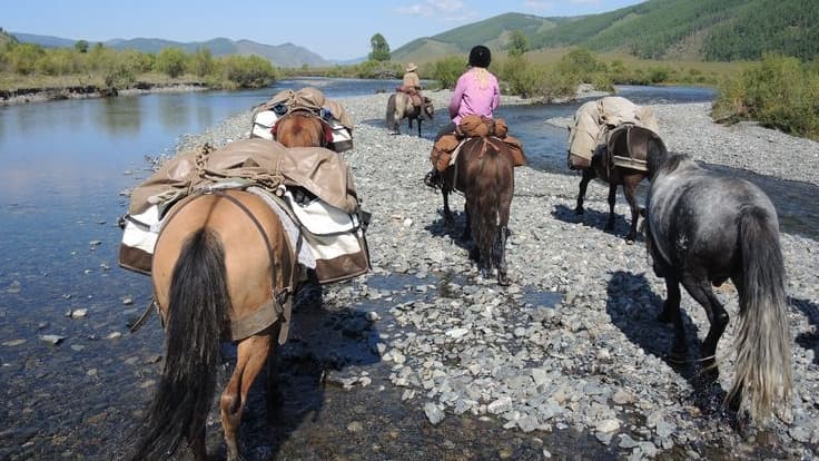 سفرهای سنتی با اسب یا گاری