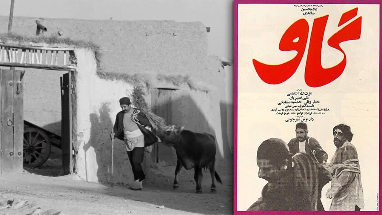 فیلم گاو اثر داریوش مهرجویی و غلامحسین ساعدی