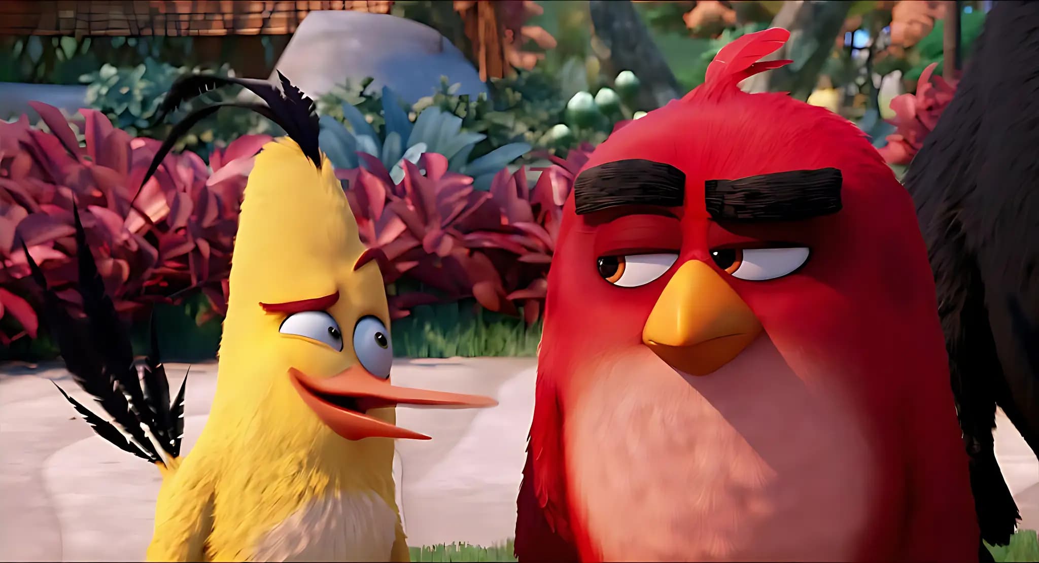 شخصیت رد و چاک در انیمیشن انگری بردز